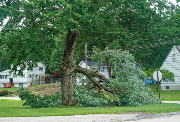 Best Tree Trimming Near Me  in Etna, PA